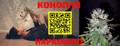 тгк Сланцы