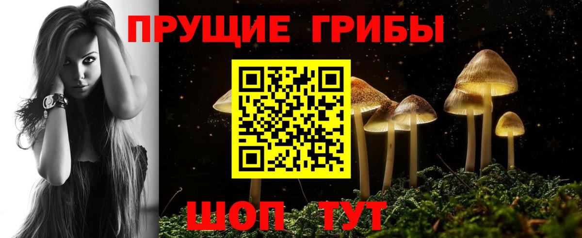 Псилоцибиновые грибы MAGIC MUSHROOMS  Вход с VPN  Мыски  Псилоцибиновые грибы GOLDEN TEACHER 